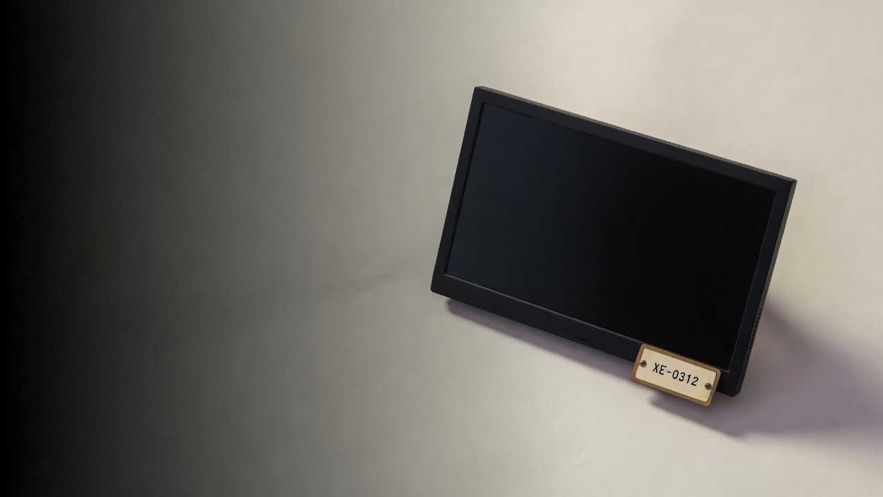 Monitor with asset tag XE-0312